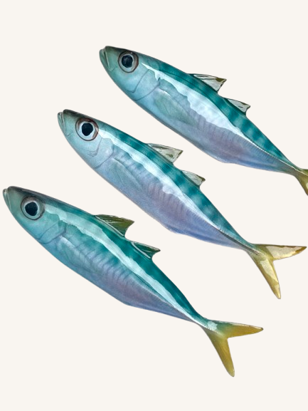 Håndlavet Hestemakrel 〰️ Vægophæng