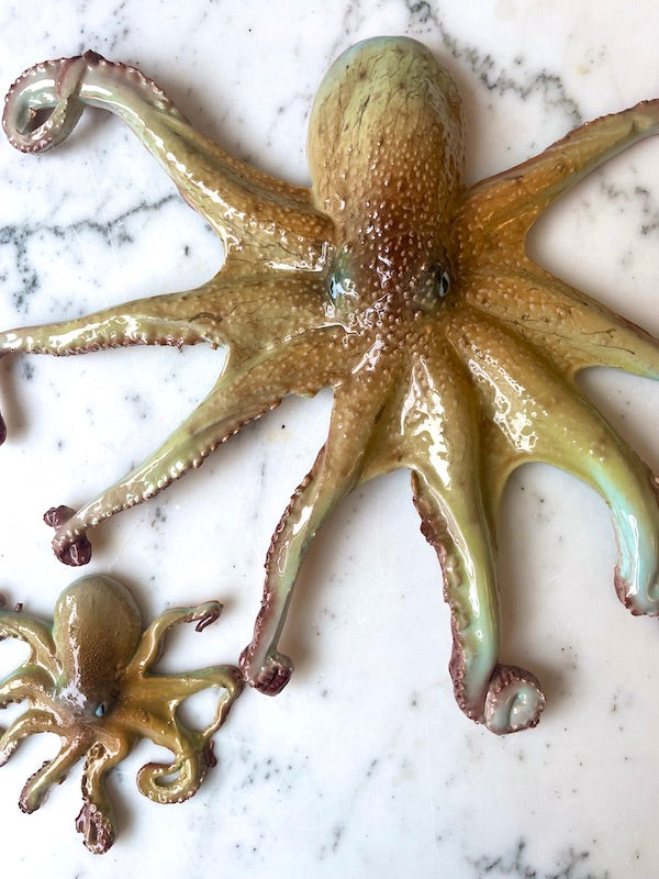 KÆMPE BLÆKSPRUTTE 〰️ VÆGOPHÆNG