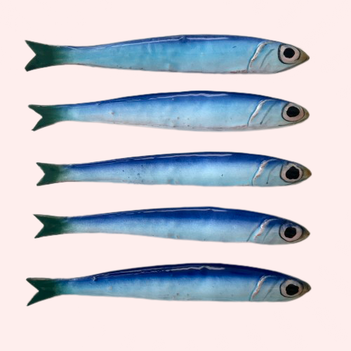 Handmade Sardine ~ Wall hanging