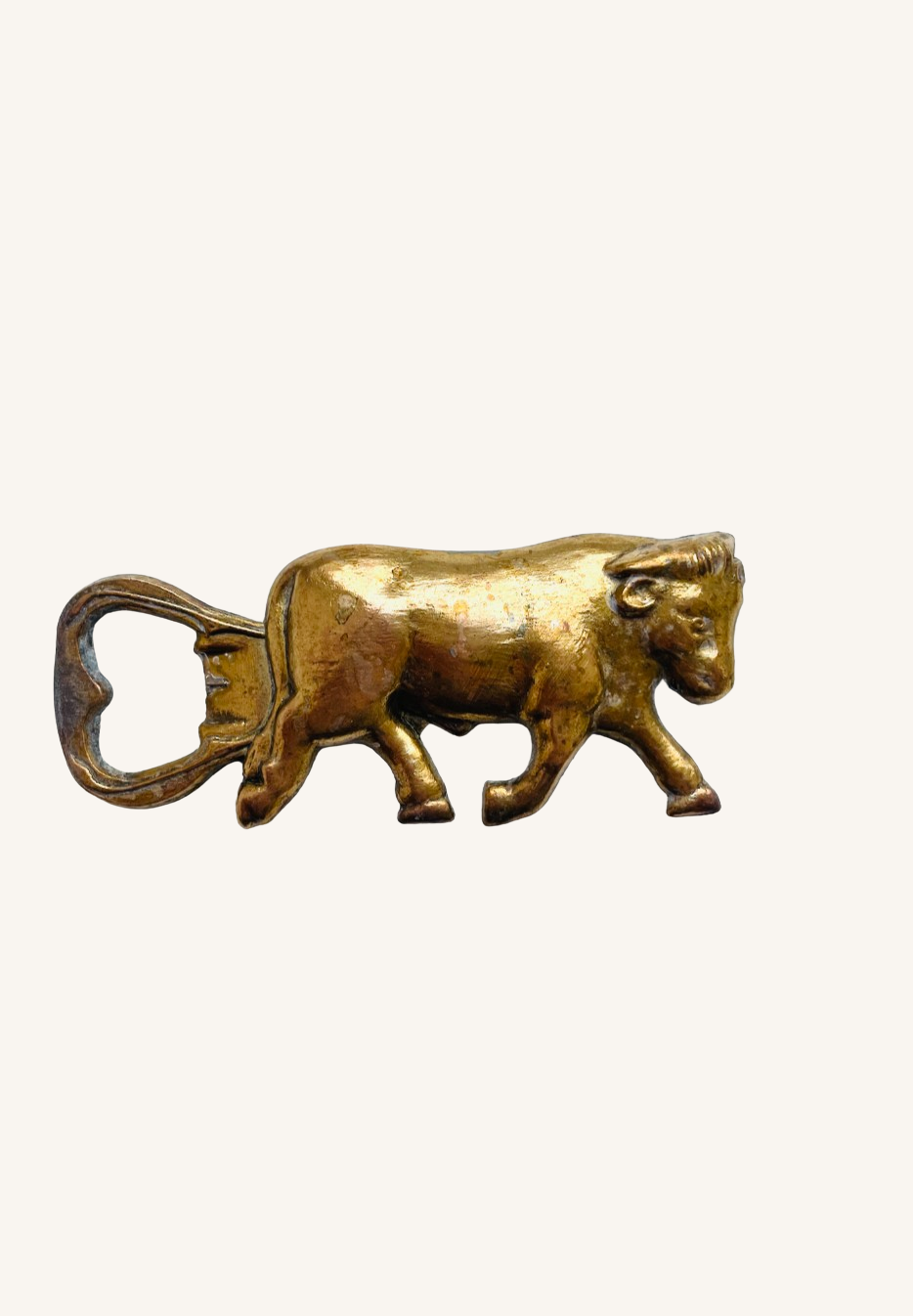 Opens the Taurus | Zodiac sign
