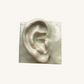 Square Ear Right Relief | Crystal Green