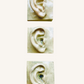 Square Ear Right Relief | Crystal Green