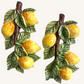 Frutta Limone medio relief