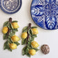 Frutta Limone medio relief