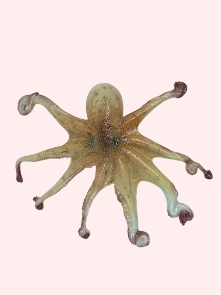 KÆMPE BLÆKSPRUTTE 〰️ VÆGOPHÆNG