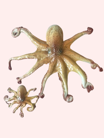 KÆMPE BLÆKSPRUTTE 〰️ VÆGOPHÆNG