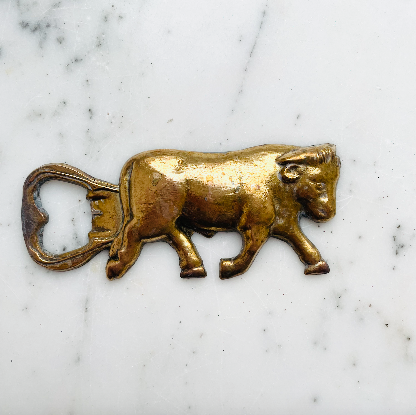 Opens the Taurus | Zodiac sign