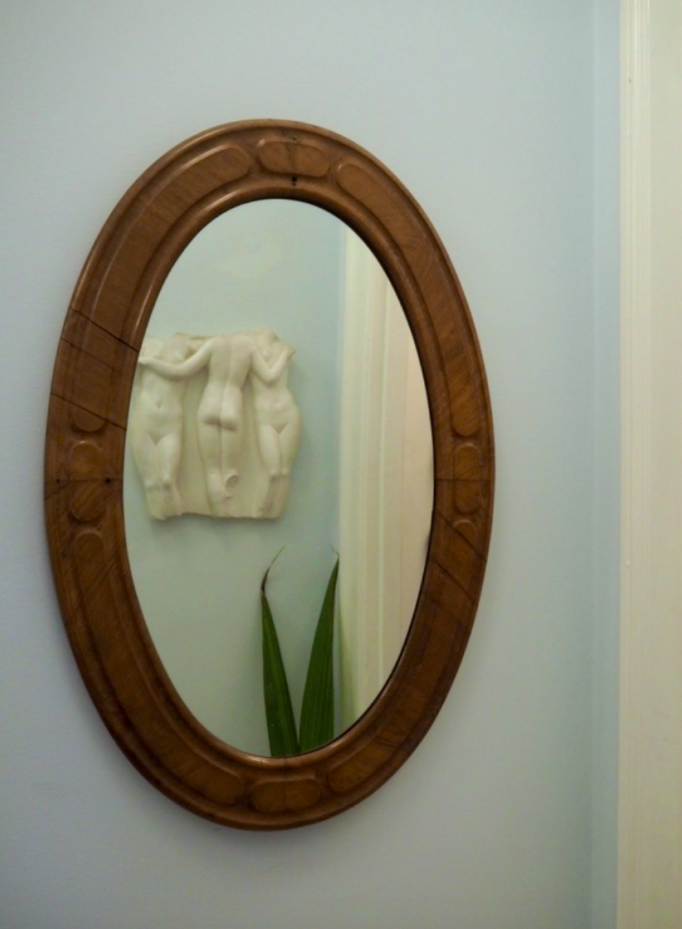 Juelsminde flat dandelion