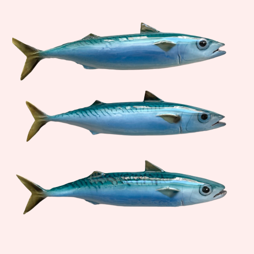 Håndlavet makrel no. 1 ~ Vægophæng