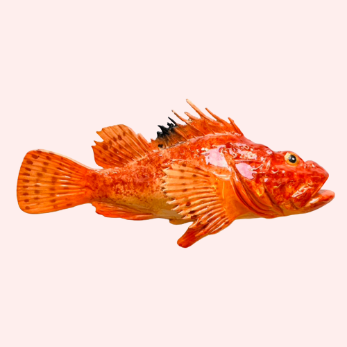 Stor håndlavet Cipolla ~ Vægophæng