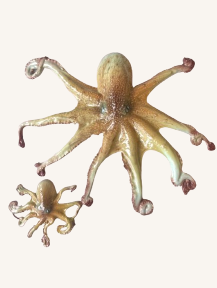 Kæmpe blæksprutte 〰️ vægophæng