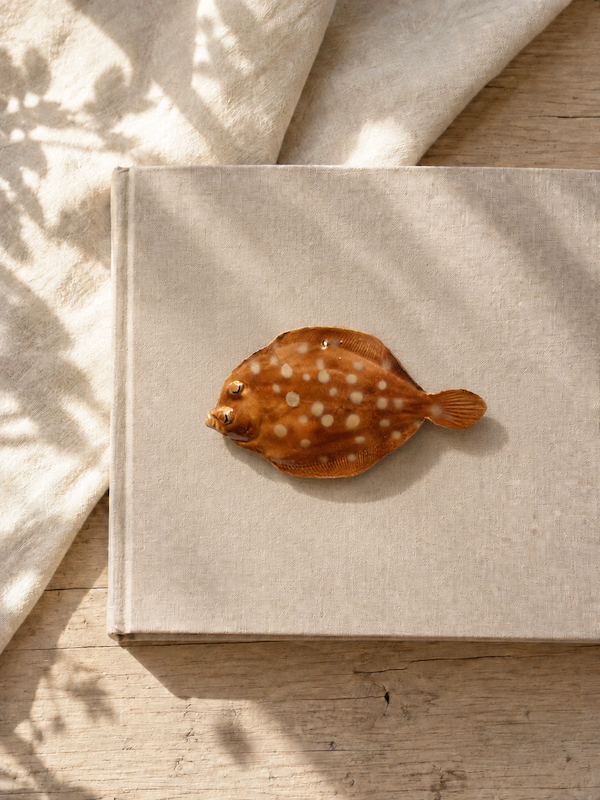 Small handmade flatfish ~ Wall hanging