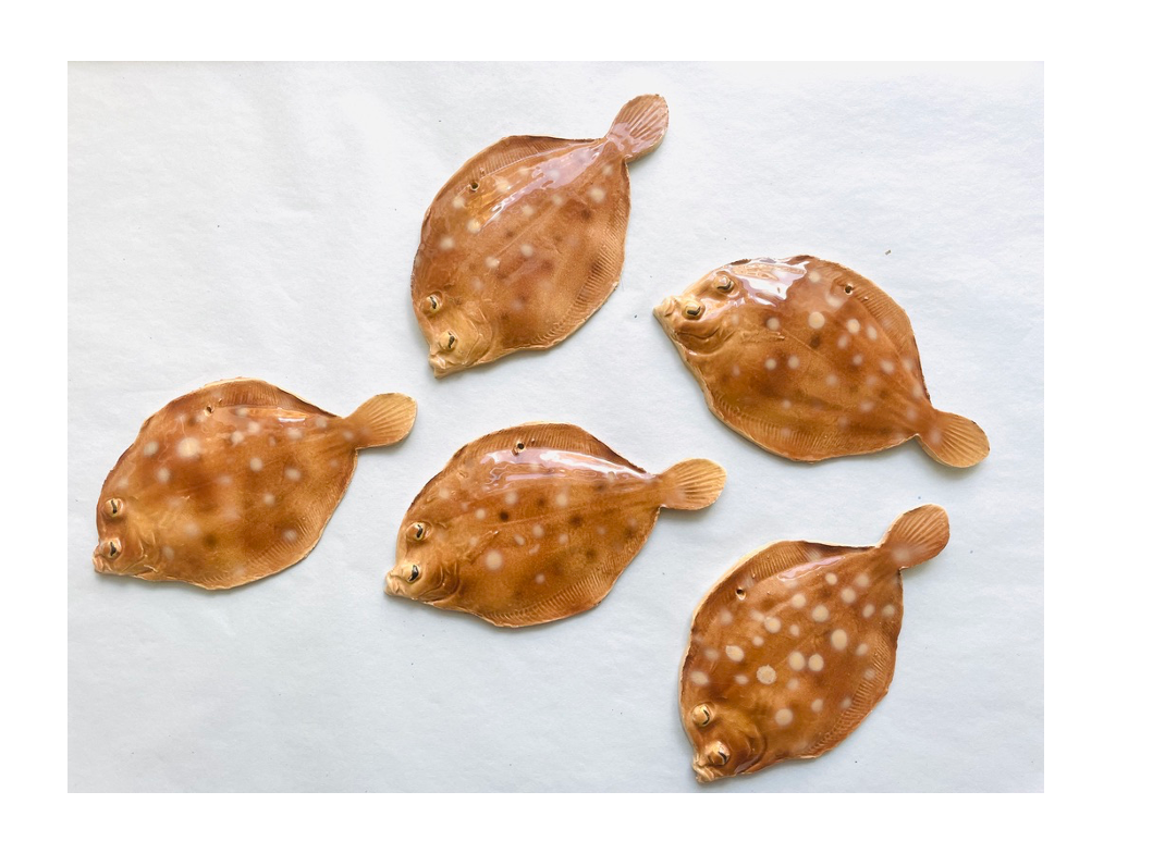 Small handmade flatfish ~ Wall hanging