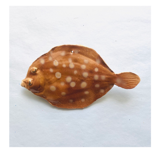 Small handmade flatfish ~ Wall hanging