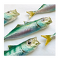 Handmade sugarello mackerel ~ Wall hanging